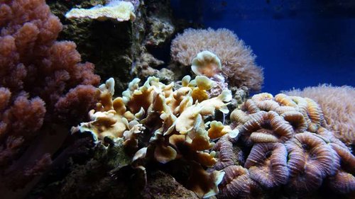 20131013_114654.jpg