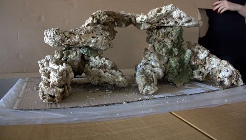 IMG_7346.CR2.jpg