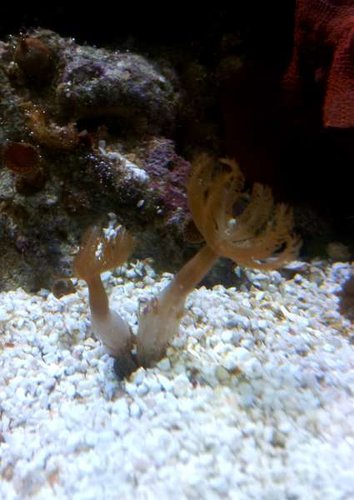 20131118_174118.jpg
