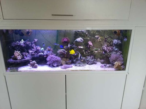 20131120_105449.jpg