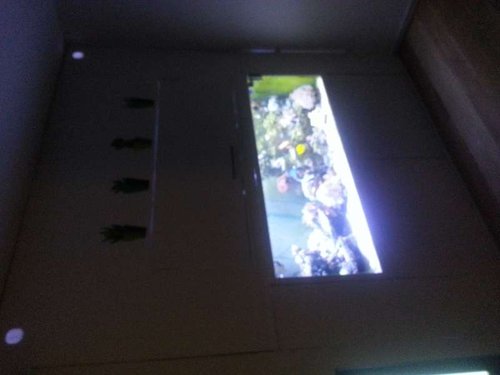 20131121_172509.jpg
