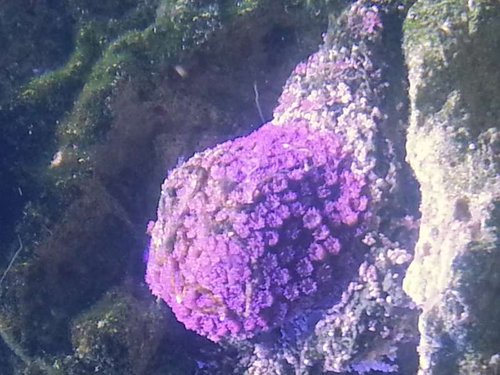 20131121_172802.jpg