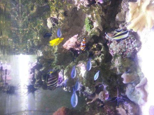 20131121_172549.jpg