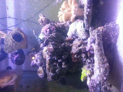 20131121_172618.jpg