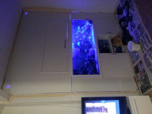 20131118_223535.jpg