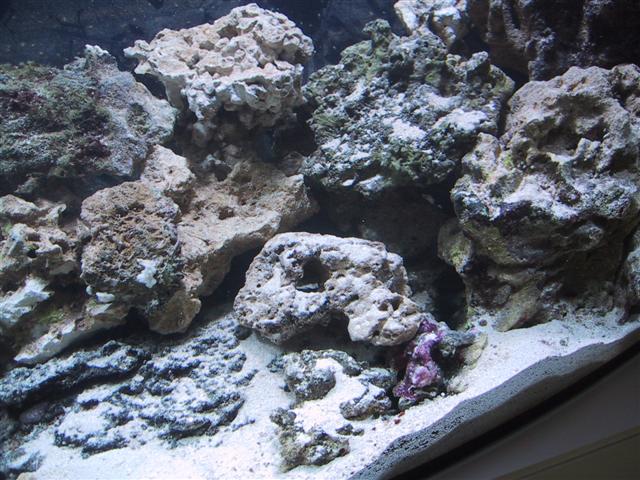 IMG_0237 (Small).JPG
