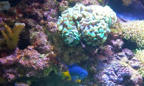 20131124_123932.jpg