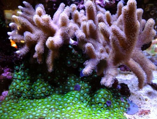 DSCF9078 medium.jpg