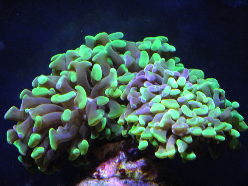 DSCF9120 medium.jpg