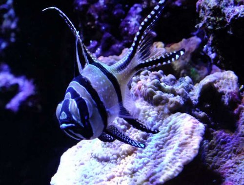 DSCF9135 medium.jpg