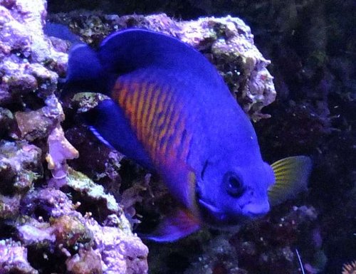 DSCF9213 medium.jpg