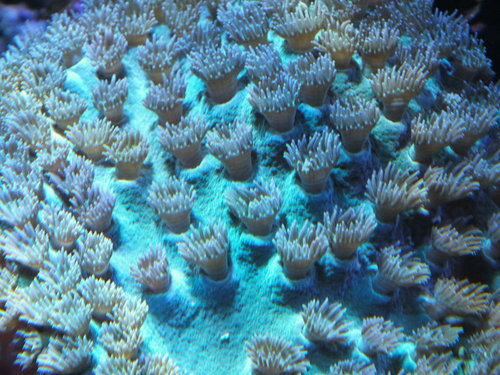 DSCF9228 medium.jpg