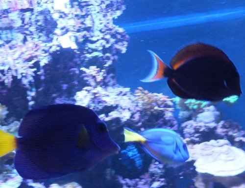 DSCF9188 medium.jpg