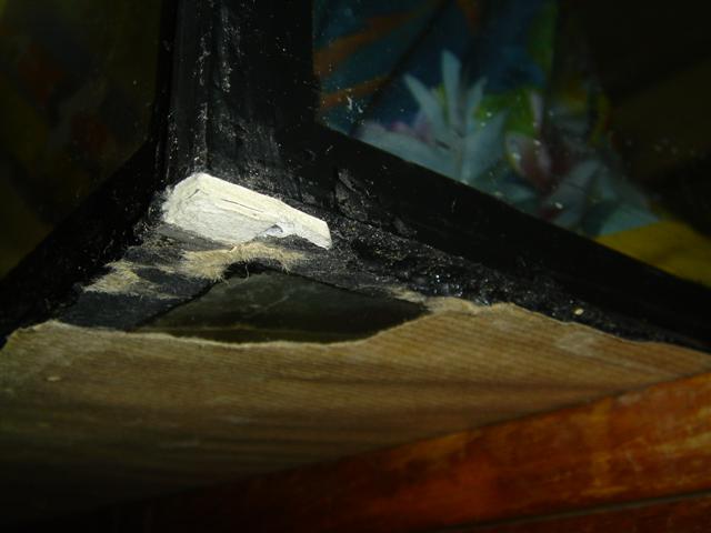 DSC01970 (Small).JPG