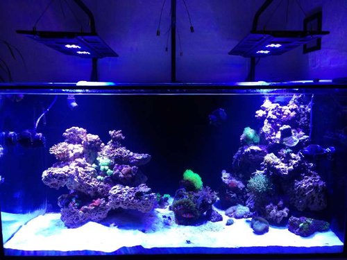 FTS
