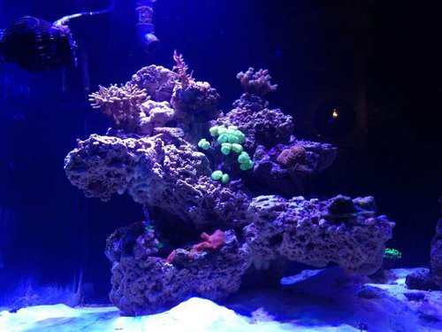 image.jpg (48.78 KiB) Vist 3190 gange Diy LS søjle