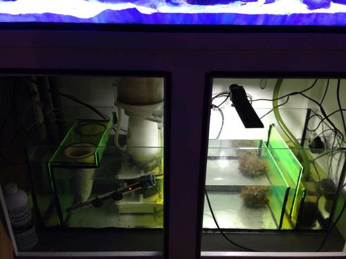 image.jpg (39.02 KiB) Vist 3190 gange Sump