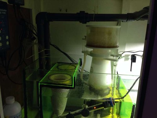 Diy filtersok holder og skummer