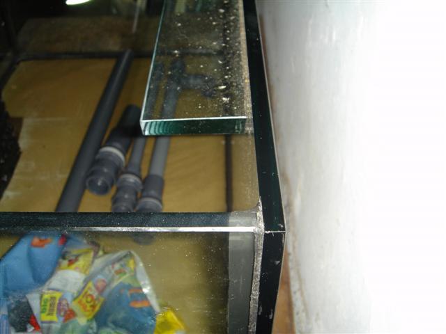 DSC01980 (Small).JPG