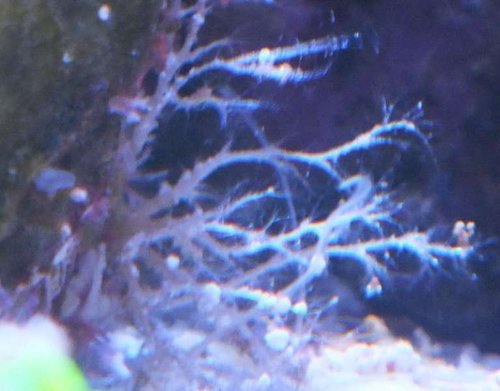 DSCF9244.jpg