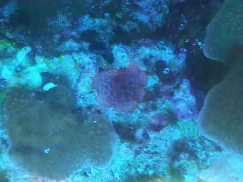 20131201_172213.jpg