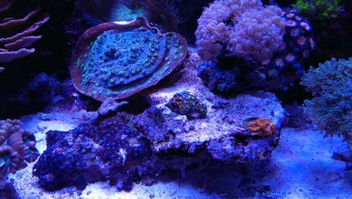 2013-12-06 21.27.05.jpg