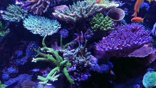 2013-12-06 21.27.22.jpg