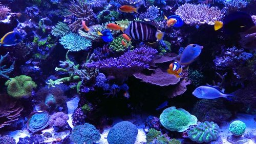 2013-12-06 21.27.32.jpg