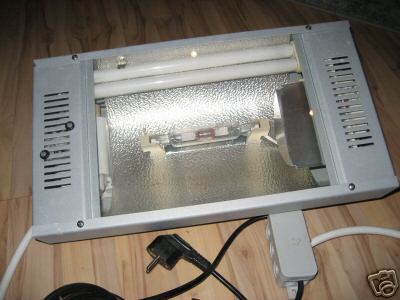 d837_1.jpg
