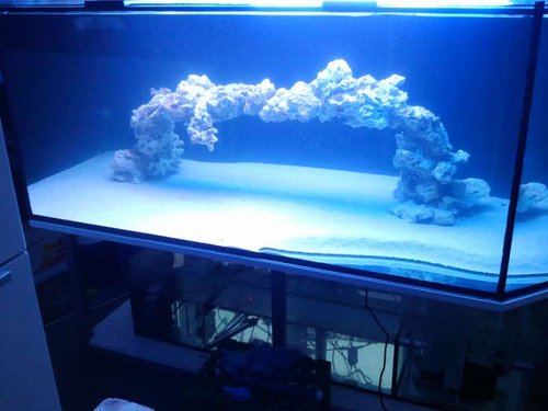 2013-12-03 15.22.07.jpg