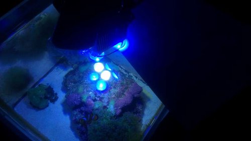 Grå A4 pap dækker af for lidt af de 2 ud af 4 Royal Blue LED...