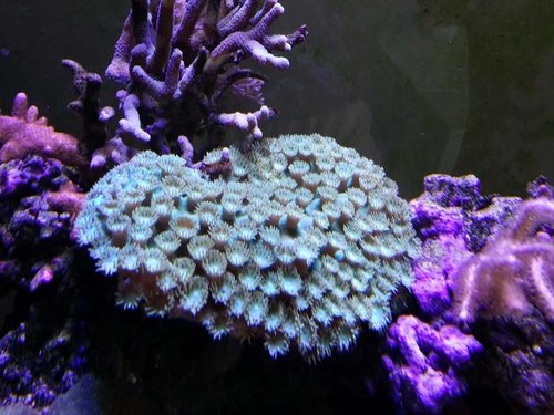 20131212_130649.jpg
