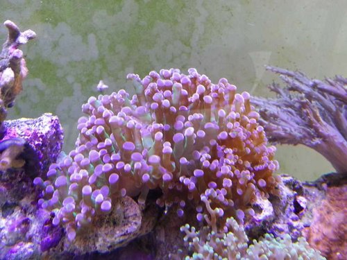 20131212_130703.jpg