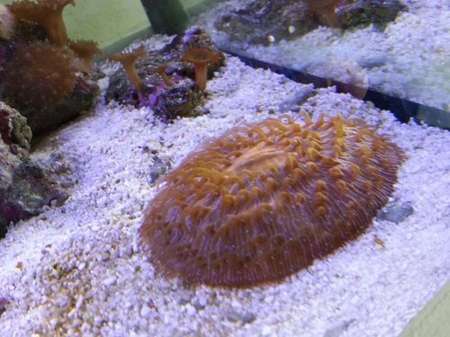 20131212_130717.jpg