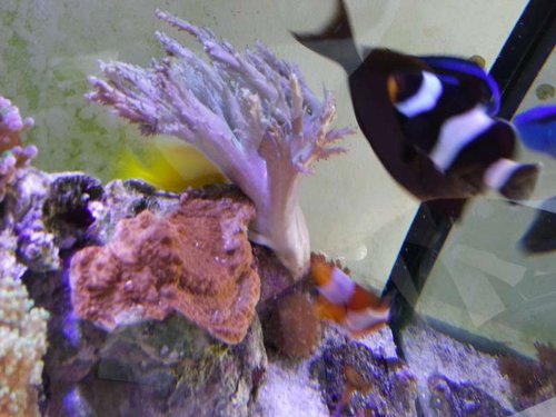 20131212_130725.jpg