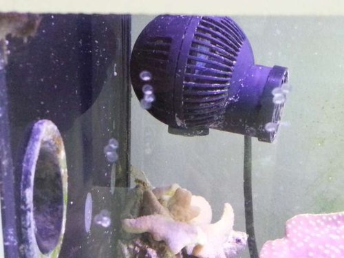 20131212_140240.jpg