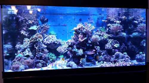 20131214_122914.jpg