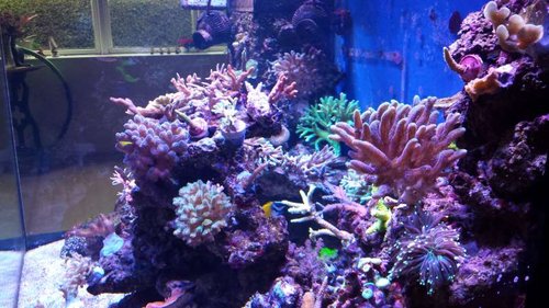 20131214_122442.jpg