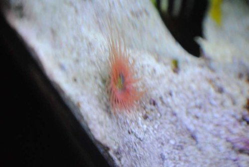 DSC_0737.JPG