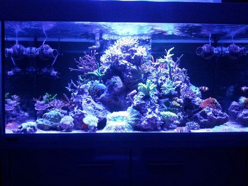20131217_195138.jpg