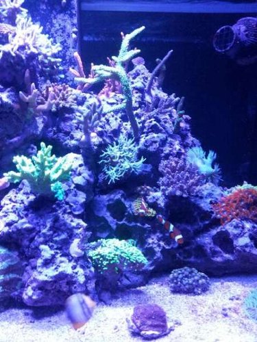 20131217_194903.jpg