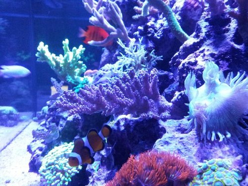 20131217_195230.jpg