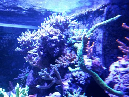 20131217_195245.jpg