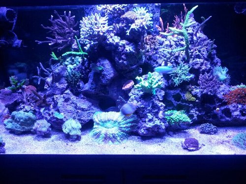 20131217_195259.jpg