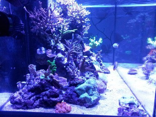 20131217_195323.jpg
