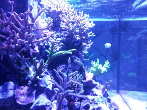 20131217_195334.jpg