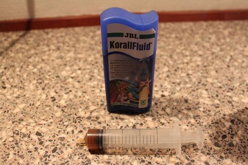 koralmad2.jpg