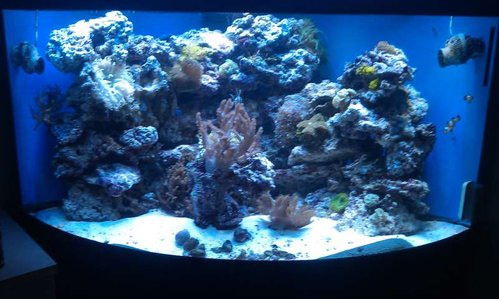 2013-12-26 15.19.20.jpg