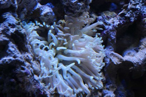 IMG_0492.JPG