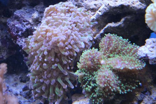 IMG_0494.JPG